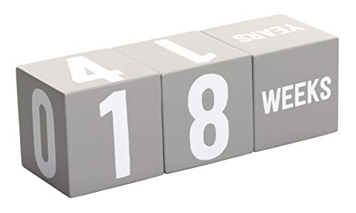 Image of Kate & Milo Baby Milestone Photo Props, Monthly Growth Markers, Baby Age Milestone Keepsakes, Gray Wooden Monthly Blocks, Baby Photo Prop
