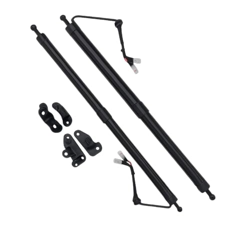 Vérin de hayon électrique pour Highlander 2014-2019 amortisseur coffre automatique 6891009130 x2