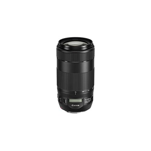 Canon Telezoomobjektiv EF 70-300mm F4-5.6 IS II USM für EOS (67mm Filtergewinde, AF-Motor, Nano USM) schwarz