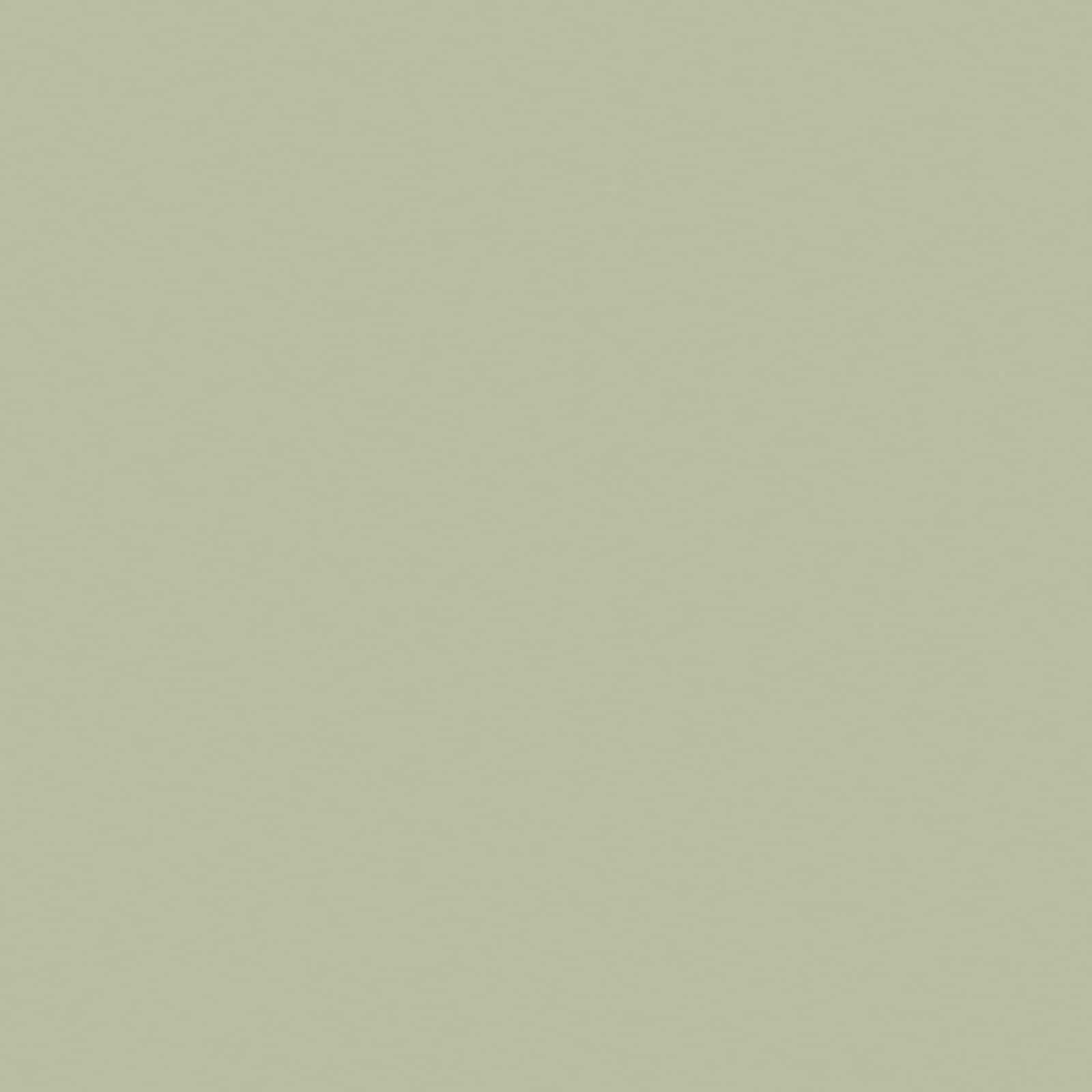 Plain Colour Vinyl Flooring 2mm R11 Anti-Slip Foam Backed Lino for Kitchen Bathroom Hall (Sage Green, 7m x 2m)