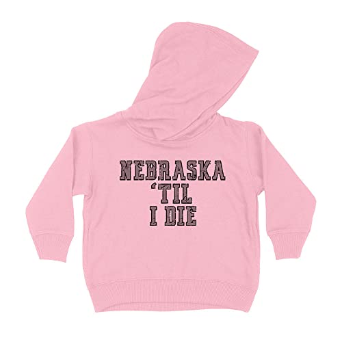 Nebraska Til I Die Kids Hoodie Sweatshirt Toddler 4T Light Pink