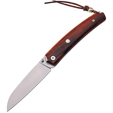 Petrified fish PF719 Folding Knife,3.34" 12C27N Steel Blade, G10 Handle Thumb Stud Liner lock Pocket knife (Sandalwood Handle) Cover
