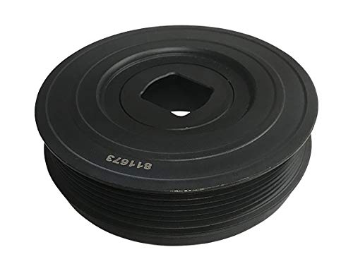 3RG INDUSTRIAL - Polea Ciguenal- OEM 8200805671 - Piezas para Coche Recambios Motor y Otras Partes de Vehículo | Compatible con los Modelos de Coche y Moto indicados más Abajo.