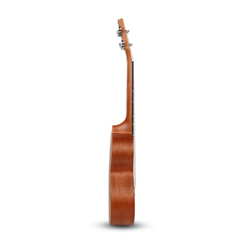 Image of Kadence UKC03B Concert 25 inch Big Belly Acoustic Ukulele for Enhanced Bass | Mahogany Wood | Comes with Bag | Includes Learning Course | Brown