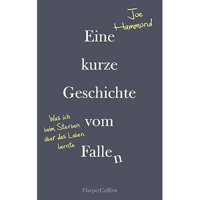 Eine kurze Geschichte vom Fallen &ndash; Was ich beim Sterben &uuml;ber das Leben lernte