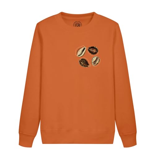 Sweatshirt enfant cercle coquillage en coton bio avec illustration ancienne de mer