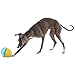 GURU Pet: Rock 'N Treat - Medium - Dog Toy, Treat Dispensing, 6