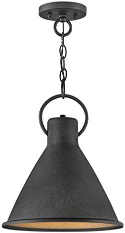 Hinkley Winnie One Light Medium Pendant, Aged Zinc/Distressed Black
