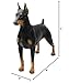 Comfy Hour Doggyland Collection, Miniature Dog Collectibles 7” Standing Dobermann Figurine, Realistic Lifelike Animal Statue Home Decoration, Black, Polyresin