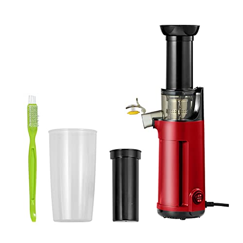 ERoomQ Portable Slow Juicer Cold Press, Lightweight Masticating Juicer Machines Vegetable and Fruit, Compact Juicer with Brush and Juice Containers