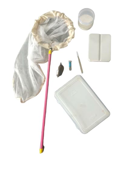 GeniusGullu Insect Collection Starter (GICS) Entomological Kit (B0CFQRG62Y) Amazon Price History, Amazon Price Tracker