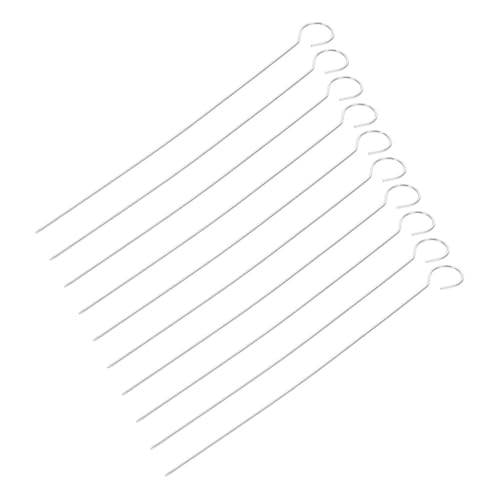 DECHOUS 30 piezas Pinchos de Acero Inoxidable para Barbacoa Brochetas Reutilizables para Carne Verduras y Bbq Accesorio Parrilla Fácil de Usar y Deslizamiento Suave