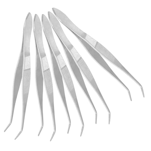 SOLUSTRE - SOLUSTRE 5 pièces Pince Acier Inoxydable Pinces de Laboratoire Incurvées Grip Antidérapant à Dents pour Reptiles et Aquarium