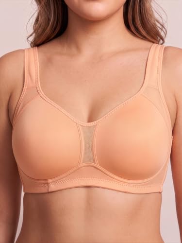 Image of Women's Full Coverage Lightly Padded Bra | Mesh Panel Everyday Comfort Bra | Broad Support Straps | Breathable Soft Fabric Adjustable Straps