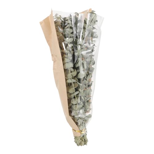 Ramillete Seco de Eucalipto y Lavanda 12 Tallos 40g miniatura 6