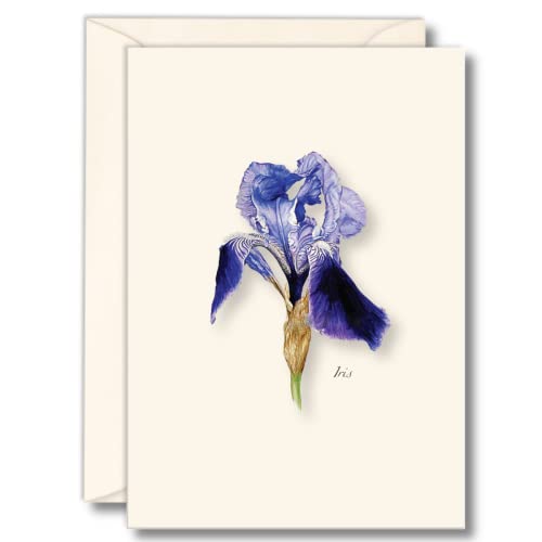 Earth Sky + Water - Iris Notecard Set - 8