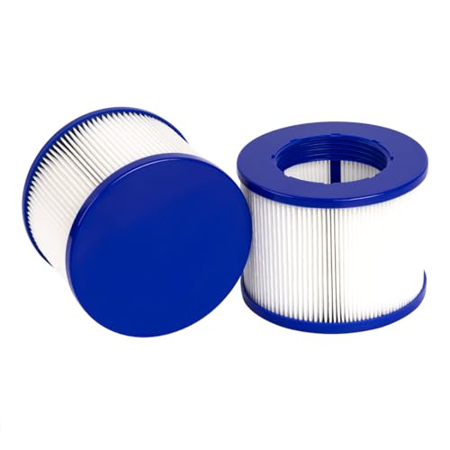 YanBan 2 Stück Typ VI Filter-Ersatz, kompatibel mit GYMAX SPA, für die meisten Whirlpools, aufblasbare Schwimmbadfilter