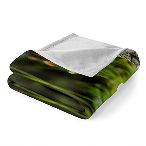 Couverture d'hiver pour lit plaid flanelle verte chaude couverture décorative - 3