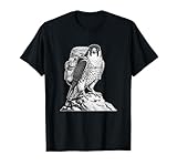 Majestic Falcon Mountain Explorer Art