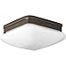 Progress Lighting P3549-20 Appeal Close-to-Ceiling, 9", Antique Bronze