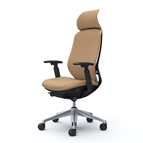 Sylphy C68CBR FSF7 [�x�[�W��]