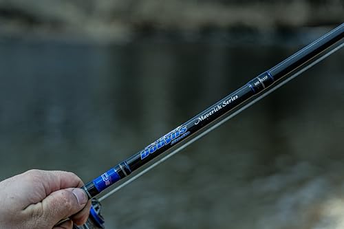 dobyns rods maverick series