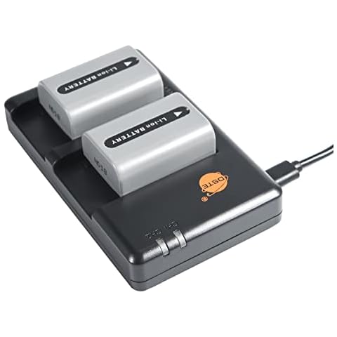 DSTE 2-Pack Battery and Micro USB Dual Charger Compatible with NP-FP50 and Sony DCR-DVD103, DCR-DVD105, DCR-DVD203, DCR-DVD205, DCR-DVD305, DCR-DVD92, DCR-HC20 as NP-FP30 Cover