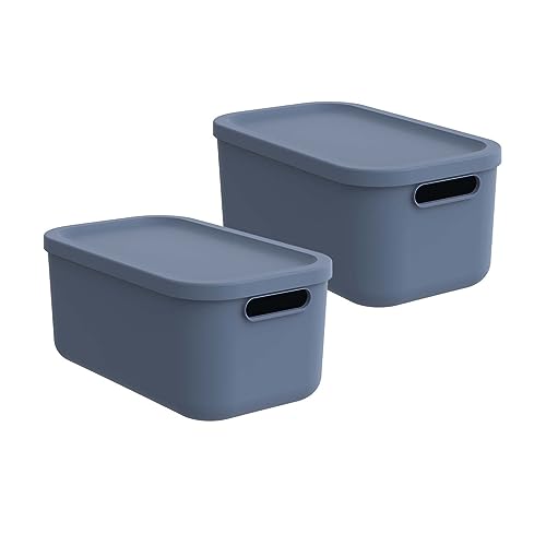 Rotho Albula light 2er-Set Aufbewahrungsbox 12l mit Deckel, Kunststoff, blau (Blau)