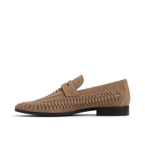ALDO Men's Danilo Loafer