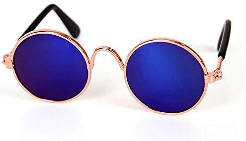 Occhiali da sole per animali domestici, alla moda