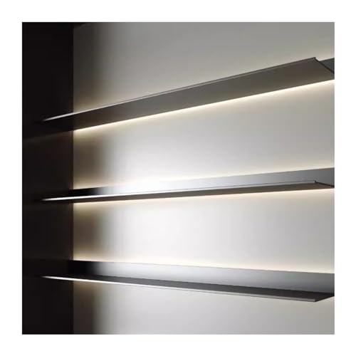 Bibliothèque électroluminescente noire pour un salon simple chaleureux