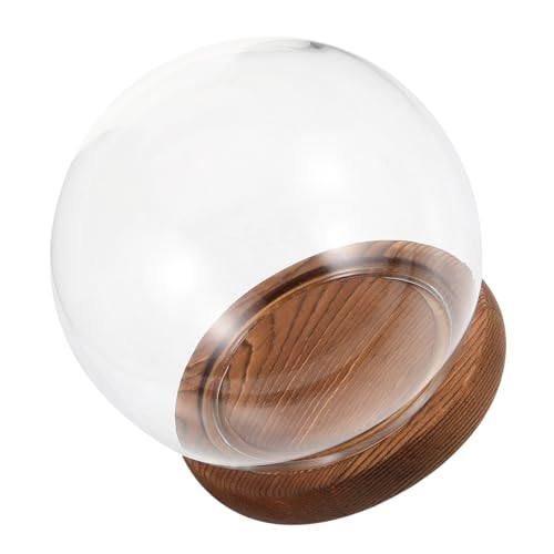 SakuRiver KXfBXvCh[ KXNbVAؐx[XtNAO[ufBXvCh[ LEDCgfBXvCx[X