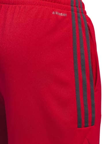 Image of Adidas Men's Bermuda Shorts