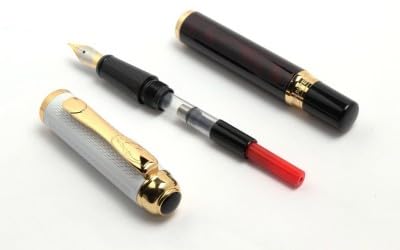 Image of Lestylo Dikawen 821 Silver Mesh Heavy Metal Body Signature Series With Gold Plated Trims Fountain Pen