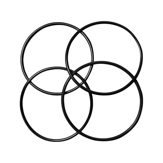 Hakolisz 4 Pack ORBX2 Replacement O-Ring for WGB22B, WGB32B Series House Water Filtration Systems Systems