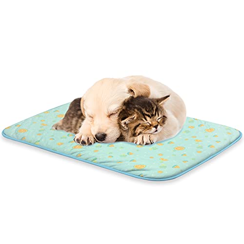 Nwk Pet Cooling Mat - Ice Silk Cooling Mat For Dogs & Cats Portable & Washable Pet Cooling Blanket, Car Seats, Beds For Summer (Green Fruit, Medium, 27.5’’ X 20’’) #TOP28