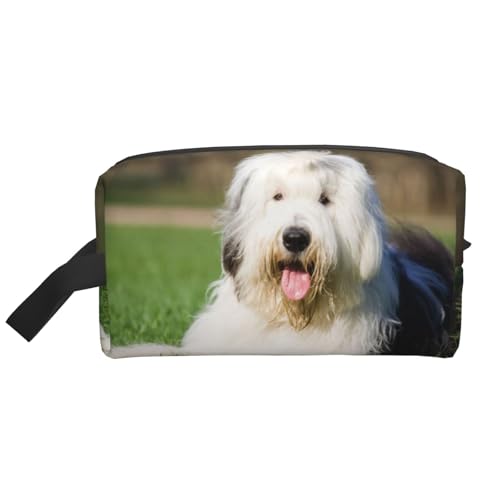 I[hpqr ꉻσ|[` gxʗp[|[` Ajv[gyʗsObY