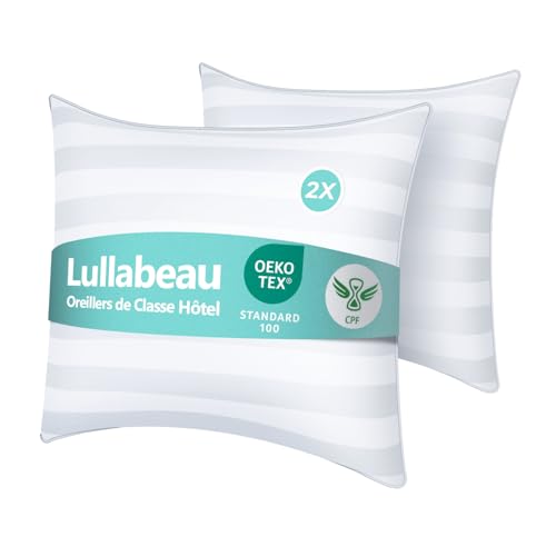 Lullabeau Oreiller 60x60 cm Lot de 2, Oreillers doux...
