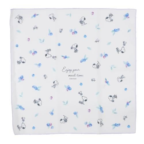 }Ntg Xk[s[ t[cV[Y `NX u[x[ W45×H45cm SPNC-069