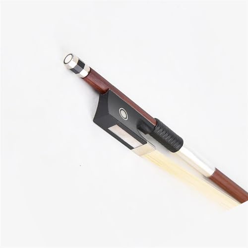 p | oCI|ANZT[ |bh oCI| p| Ȕn̔(1/2)