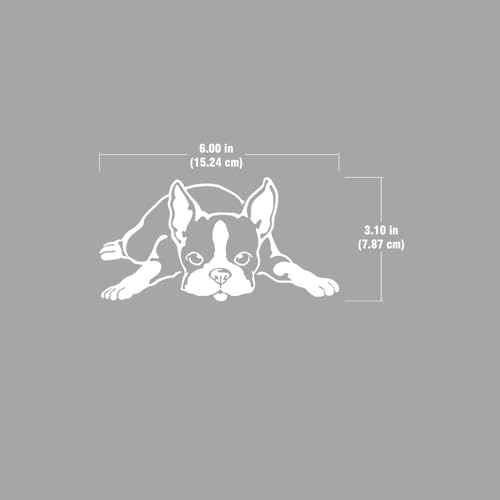 Image of WIRESTER 6 inch Clear Vinyl Decal Sticker Decoration for Car Window (Or Any Flat Surface) - Boston Terrier Dog Lying Down Looking Up