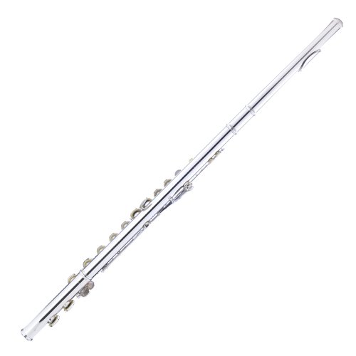 Mendini Nickel Silver Closed Hole C Flute With Tuner, Stand, 1 Year Warranty, Case, Cleaning Rod, Cloth, Joint Grease, And Gloves - Mfe-N+Sd+Pb+92D #TOP2