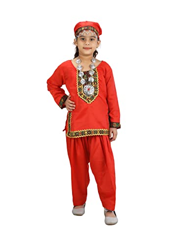 Image of BookMyCostume Kashmiri Indian State Fancy Dress Costume for Girls and Females 14 years /Adult S