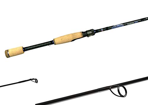 Dobyns Rods Champion Xp Dc705Sf