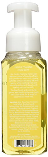 Bath & Body Works Kitchen Lemon Gentle Foaming Hand Soap