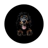 Zoom IMG-2 setter gordon popsockets popgrip intercambiabile Zoom IMG-2 setter gordon popsockets popgrip intercambiabile