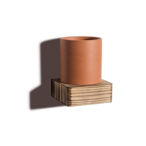 Freezing point Small Floating Shelf,Mini Wall Shelves for Kitchen Bedroom