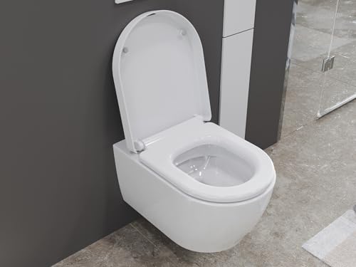 Tiefspüler von Ssww Spülrandlose Toilette mit Softclose-Funktion