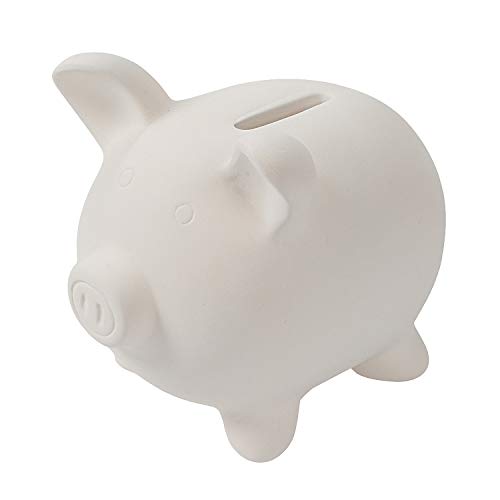 Best Ceramic Piggy Banks for Saving Your Pennies