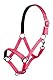 HKM 27858045.0758 Halfter -Stars Softice-, weich unterlegt Shetty, Neon pink